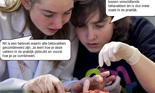 Waarom nlt?